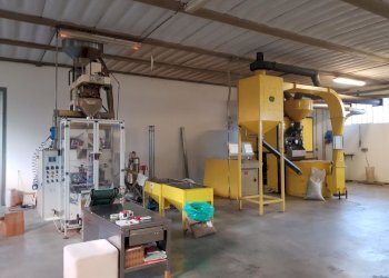 20201124_162131.jpg - Commercial Premises Via dell'Arpino, Capannori - photo 3