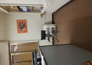 20201124_162315.jpg - Commercial Premises Via dell'Arpino, Capannori - photo 7