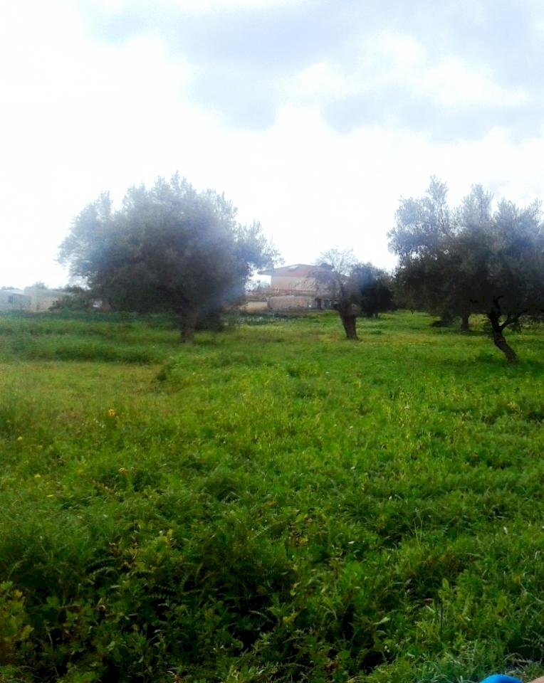 Terreno agricolo zona Villa Ruben, Scicli - foto 2