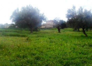 Agricultural land zona Villa Ruben, Scicli - photo 2