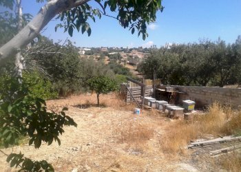 Casa indipendente contrada Licozia, Scicli - foto 5