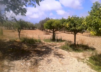 Casa indipendente contrada Licozia, Scicli - foto 6