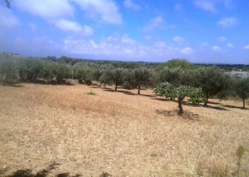 Casa indipendente contrada Licozia, Scicli - foto 7