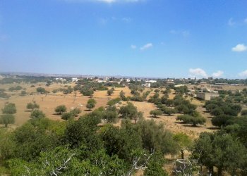 Casa indipendente contrada Licozia, Scicli - foto 9