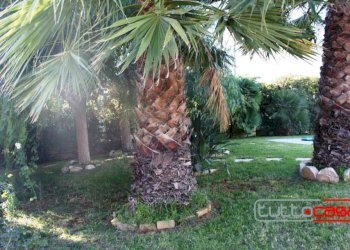 Villa contrada Dammusi, Scicli - foto 18