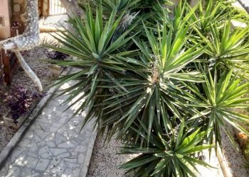 Villa via Bretagna, Scicli - foto 18