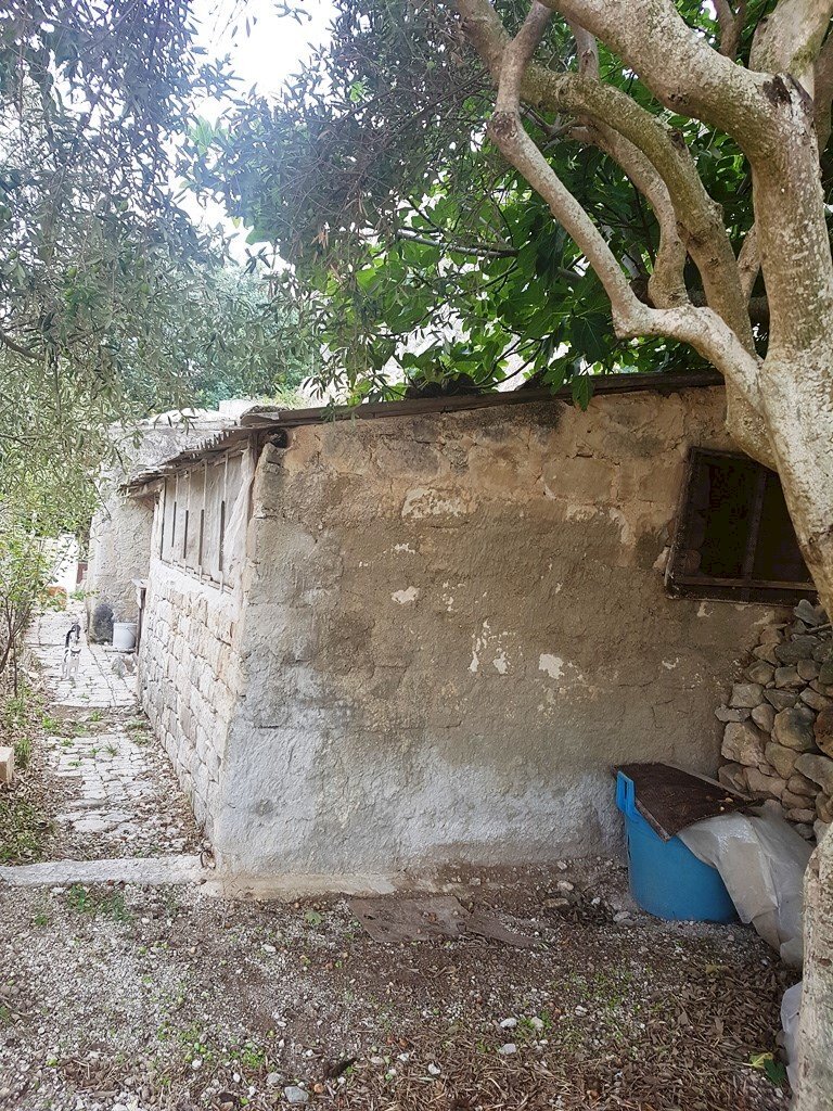 Rustico via Sant'Orsola, Scicli - foto 3