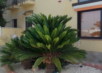 Villa PLAYA GRANDE, Scicli - foto 3