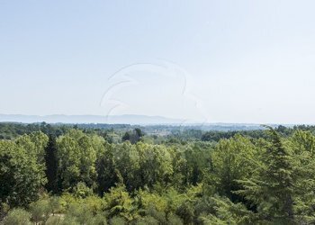 VILLA STORICA-VENDITA-FUCECCHIO - Villa Fucecchio - foto 28