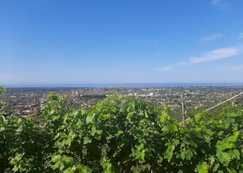 Rustico via forni, Seravezza - foto 1