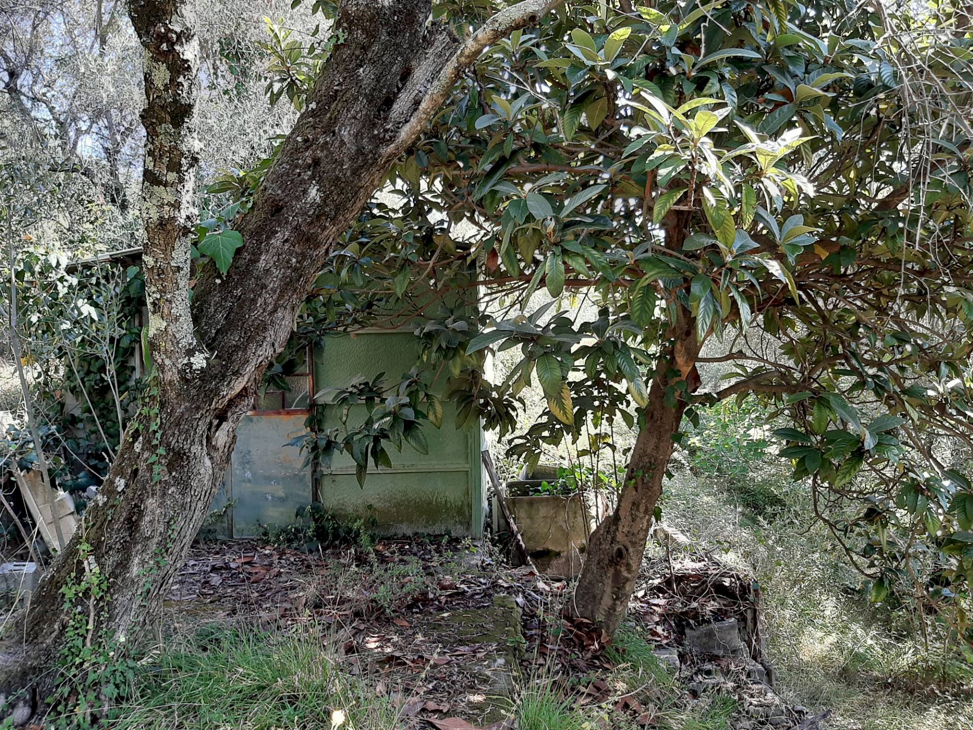 Agriturismo VIA DEL VALENTINO, Massarosa - photo 2