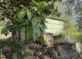 Agriturismo VIA DEL VALENTINO, Massarosa - photo 1