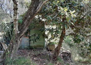 Agriturismo VIA DEL VALENTINO, Massarosa - photo 2