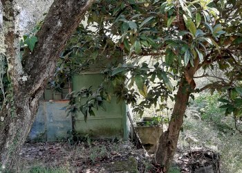 Agriturismo VIA DEL VALENTINO, Massarosa - photo 6