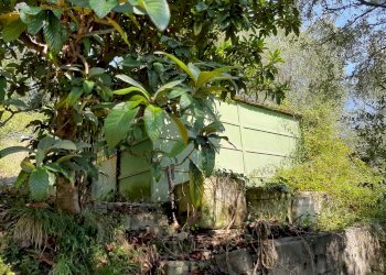 Agriturismo VIA DEL VALENTINO, Massarosa - photo 9