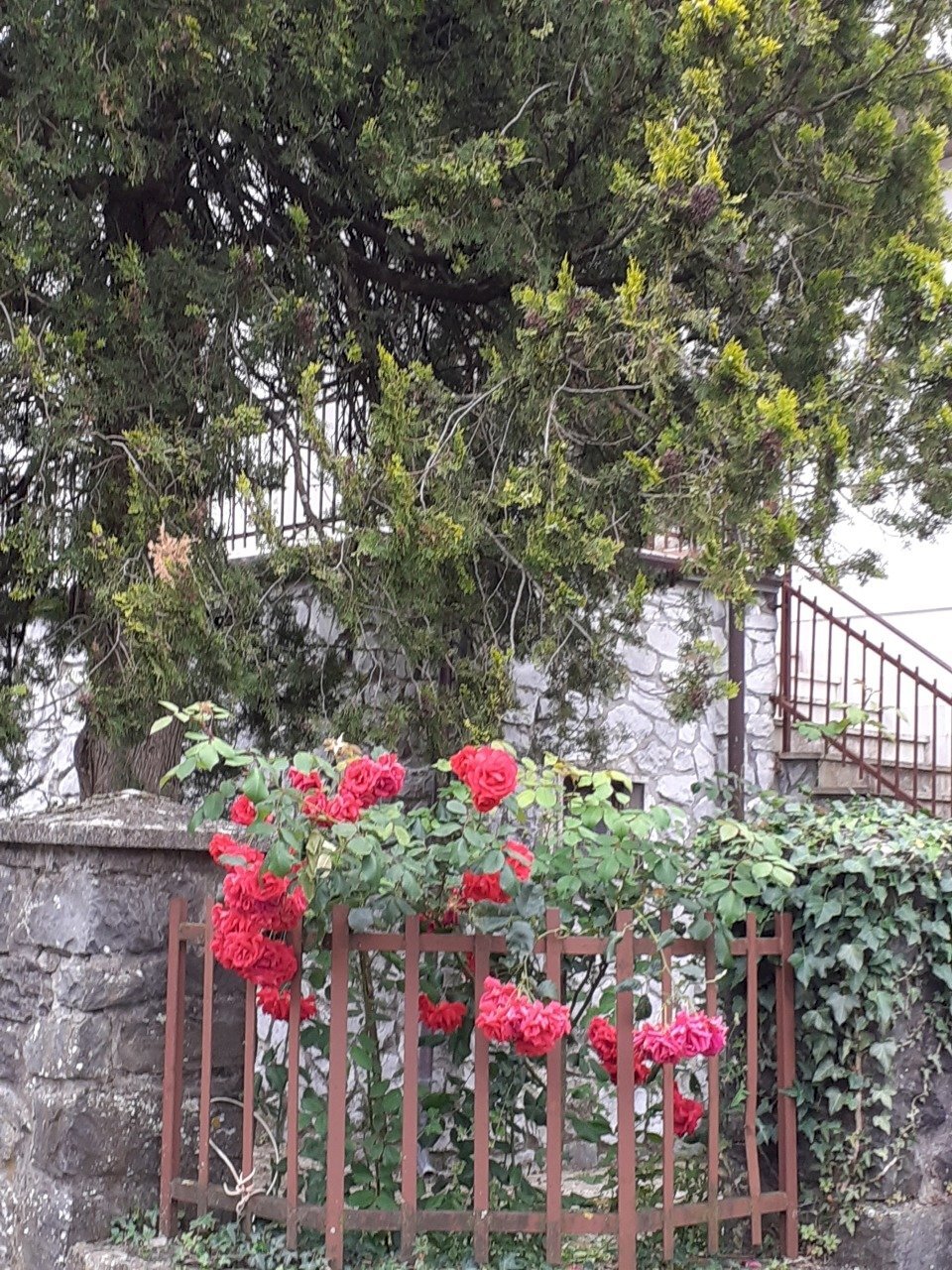 20200603_112835.jpg - Casa indipendente Fivizzano - foto 1