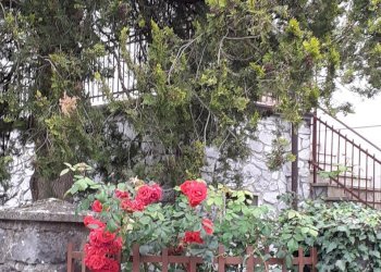 20200603_112835.jpg - Casa indipendente Fivizzano - foto 1