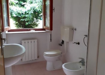 20200603_104843.jpg - Casa indipendente Fivizzano - foto 5