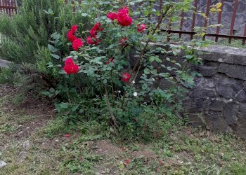 20200603_105336.jpg - Casa indipendente Fivizzano - foto 14