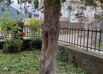 20200603_105346.jpg - Casa indipendente Fivizzano - foto 15