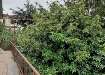 20200603_105611.jpg - Casa indipendente Fivizzano - foto 22