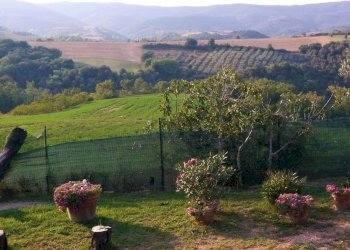 06.jpg - Casale Vocabolo Coccimignolo 37, Marsciano - foto 6