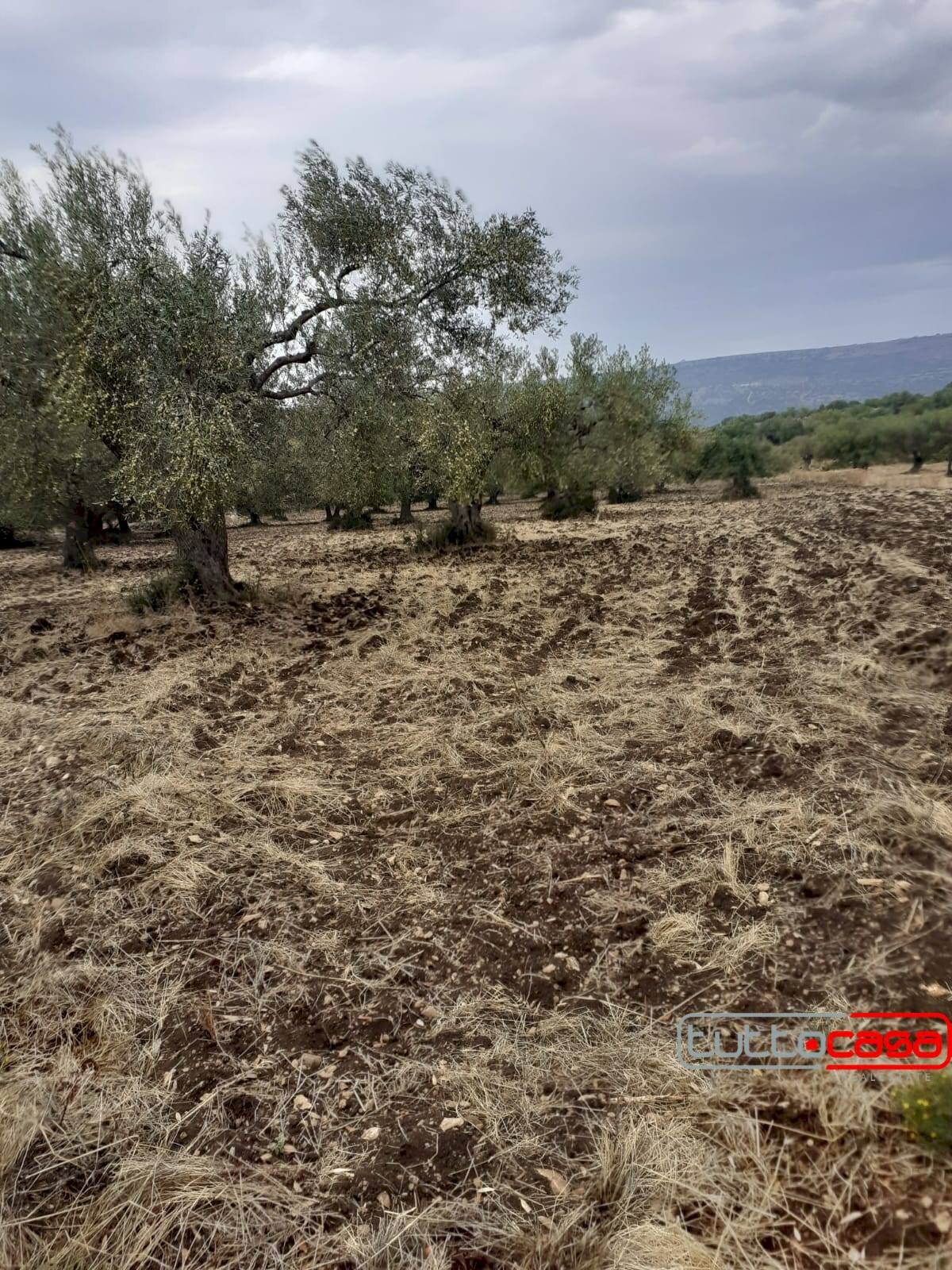 Terreno agricolo CONTRADA LINCINO, Scicli - foto 1