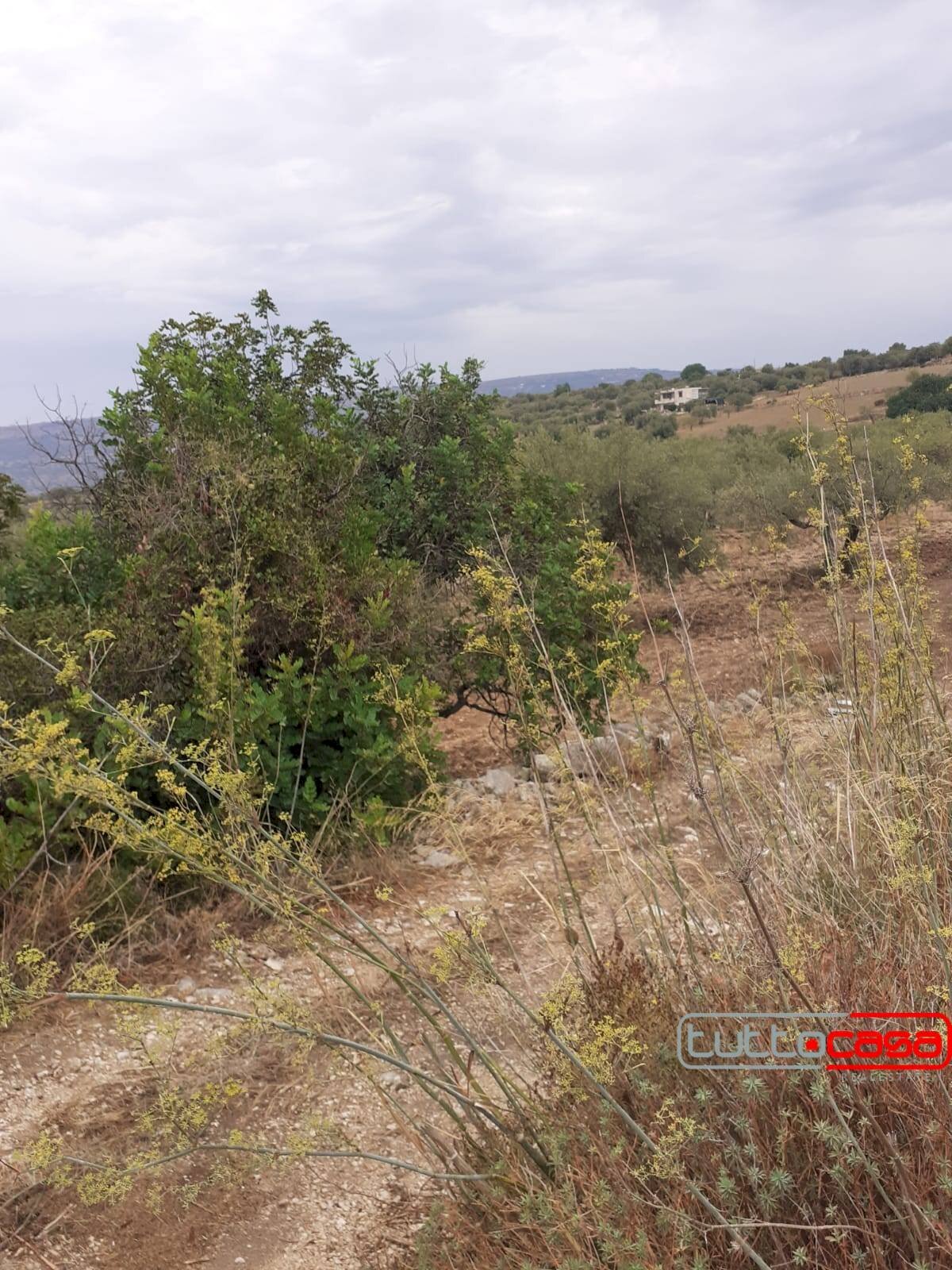 Terreno agricolo CONTRADA LINCINO, Scicli - foto 3