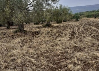 Agricultural land CONTRADA LINCINO, Scicli - photo 1
