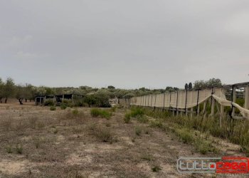 Agricultural land CONTRADA GAMBACORTA, Scicli - photo 4