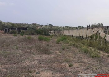 Agricultural land CONTRADA GAMBACORTA, Scicli - photo 10