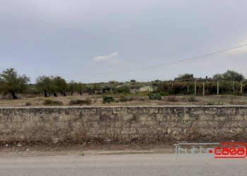 Agricultural land CONTRADA GAMBACORTA, Scicli - photo 12