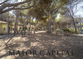 Attività Commerciale Cuglieri - foto 9