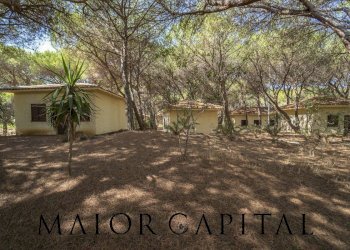 Attività Commerciale Cuglieri - foto 12