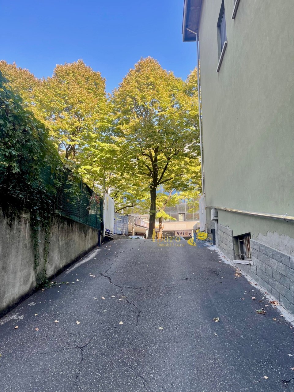 IMG_2703.jpg - Box VIALE PIACENZA  18, Parma - photo 2