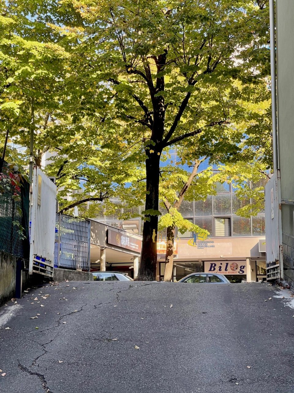 IMG_2704.jpg - Box VIALE PIACENZA  18, Parma - photo 3