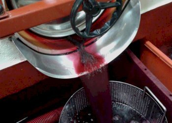 Altro - Rustico Agliano Terme - foto 11