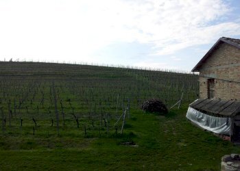 Terreno - Rustico Agliano Terme - foto 12