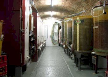 Box auto - Rustico Agliano Terme - foto 13