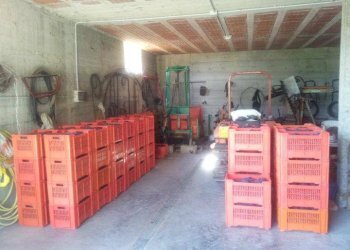 Box auto - Rustico Agliano Terme - foto 15