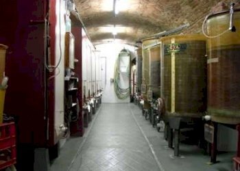 Box auto - Rustico Agliano Terme - foto 18