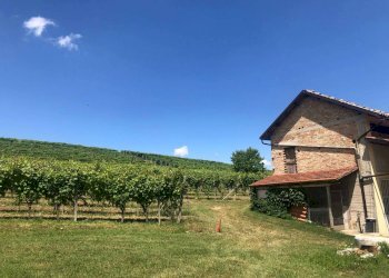 Terreno - Rustico Agliano Terme - foto 38