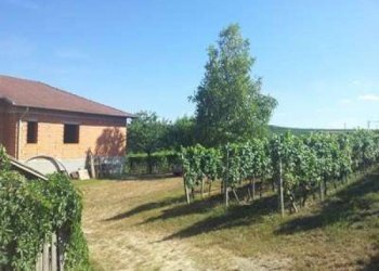 Terreno - Rustico Agliano Terme - foto 5