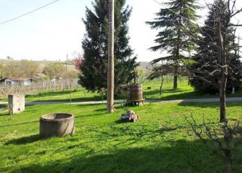 Giardino - Rustico Agliano Terme - foto 13