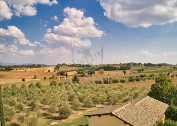 Rustico Località Case Sparse, Cortona - foto 13