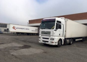 Shed Granarolo dell'Emilia - photo 3