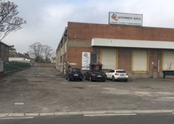 Shed Granarolo dell'Emilia - photo 5