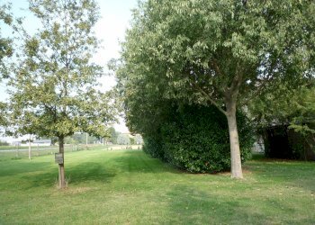 esterno - Rustico Imola - foto 2