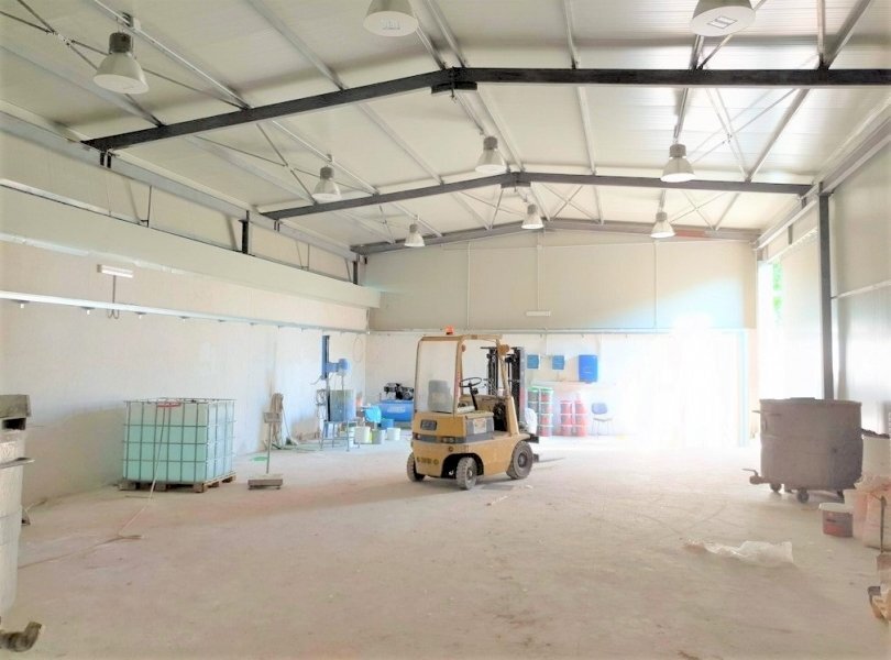 Capannone Falciano del Massico - foto 3