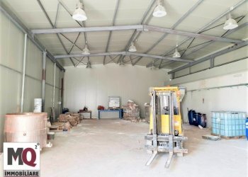 Capannone Falciano del Massico - foto 1